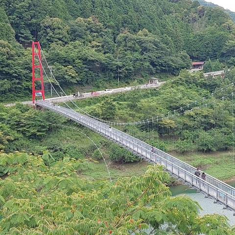 久しぶりの遠足です❕ 有田川町の粟生にある『森のカフェ』と 椿山のつり橋を渡り 『ヤッホーポイント』 に行って来ました(^^♪